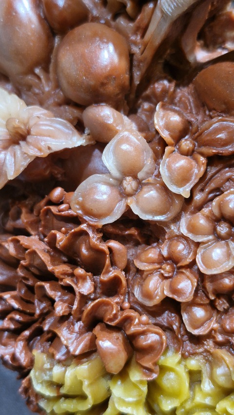 古玩雜項壽山石擺件真品鑒賞圖