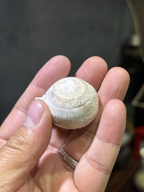 古玩陶瓷湖田青白釉鳥食罐真品鑒賞圖