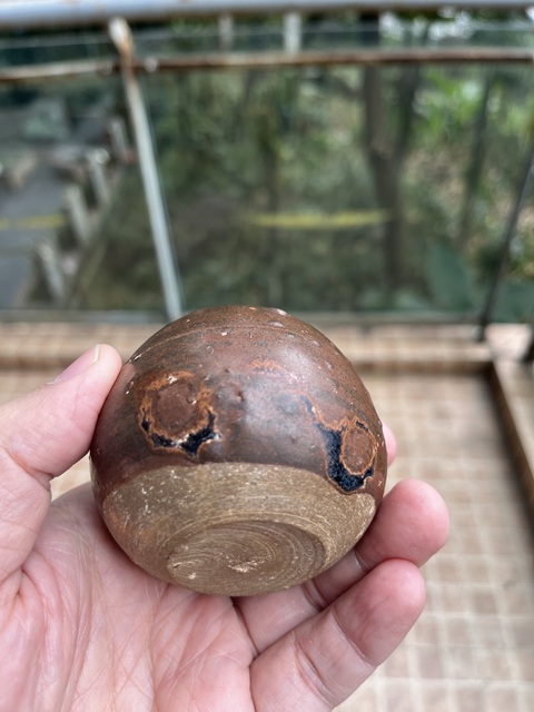 古玩陶瓷褐釉水盂真品鑒賞圖