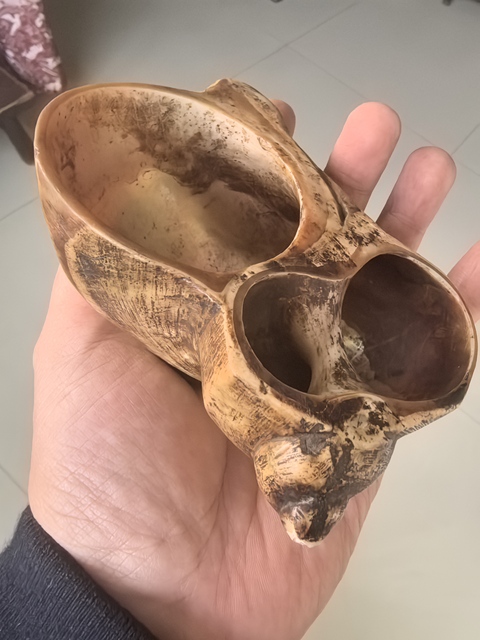 古玩雜項海螺水盂真品鑒賞圖