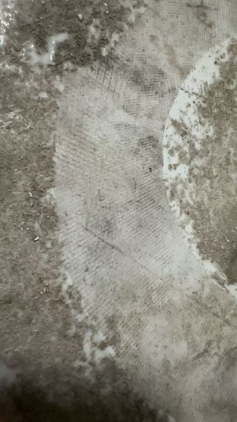 古玩陶瓷墨彩詩文瓷板、模糊，偏老真品鑒賞圖