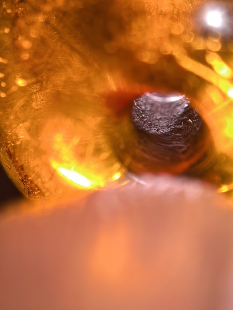 古玩雜項琥珀珠真品鑒賞圖