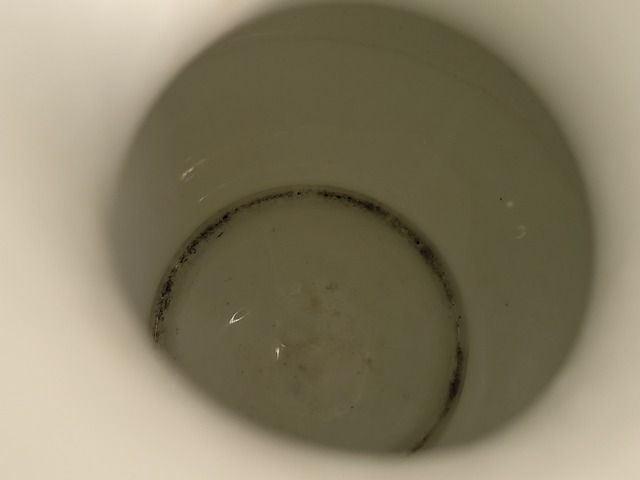 古玩陶瓷白釉撇口瓶真品鑒賞圖