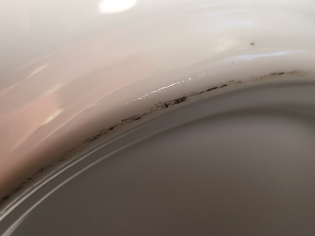 古玩陶瓷白釉撇口瓶真品鑒賞圖