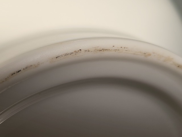 古玩陶瓷白釉撇口瓶真品鑒賞圖