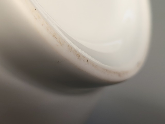 古玩陶瓷白釉撇口瓶真品鑒賞圖