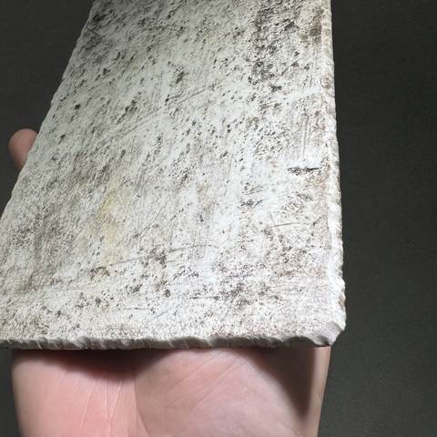 古玩陶瓷墨彩洞石竹葉紋瓷板（老胎后加彩）真品鑒賞圖