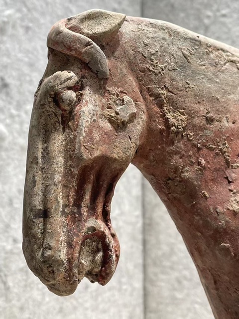 古玩陶瓷唐·棗紅馬拍賣，當前價格12000元