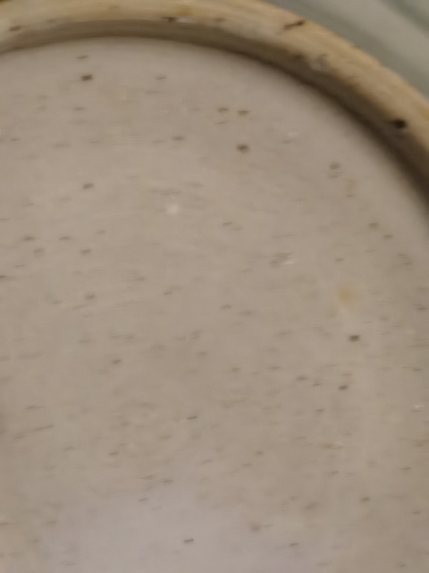 古玩陶瓷青釉印花盤真品鑒賞圖