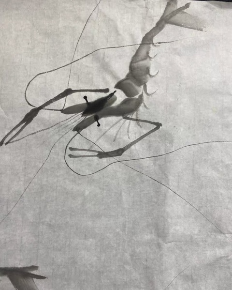 古玩字畫齊慧娟水墨群蝦圖已經裝裱拍賣，當前價格1000元