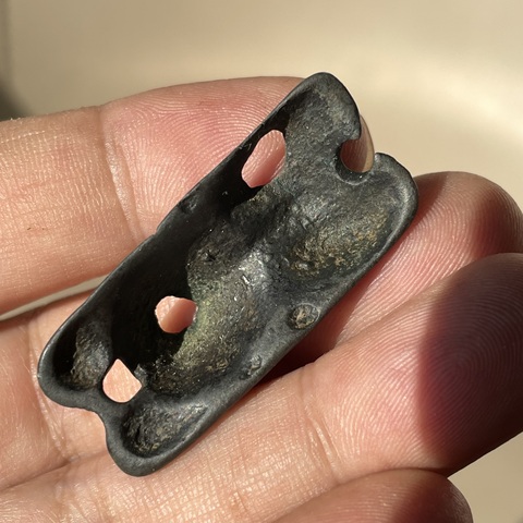 古玩雜項雪獅拖甲真品鑒賞圖