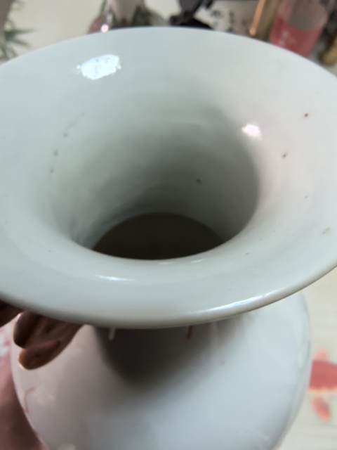 古玩陶瓷礬紅獅紋瓶真品鑒賞圖