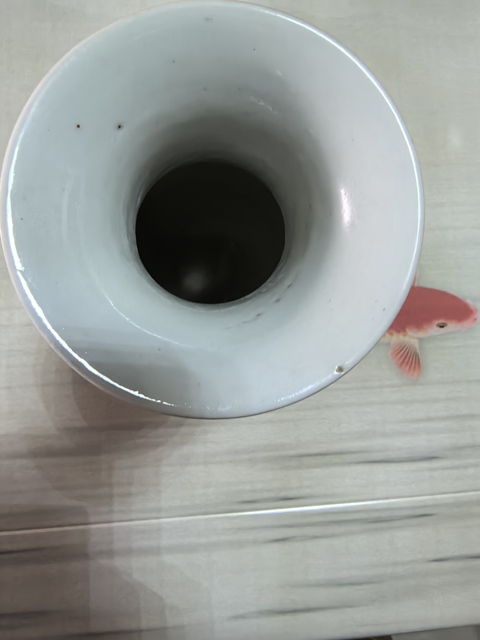 古玩陶瓷礬紅獅紋瓶真品鑒賞圖