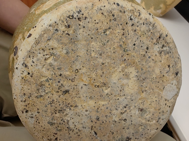 古玩陶瓷青釉六系瓶真品鑒賞圖