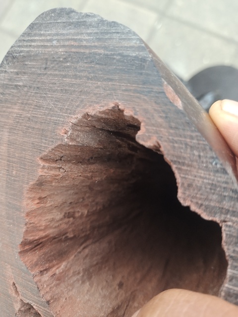 古玩雜項(xiàng)木材真品鑒賞圖