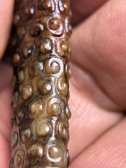 古玩玉器戰國谷紋扁勒子拍賣，當前價格28600元