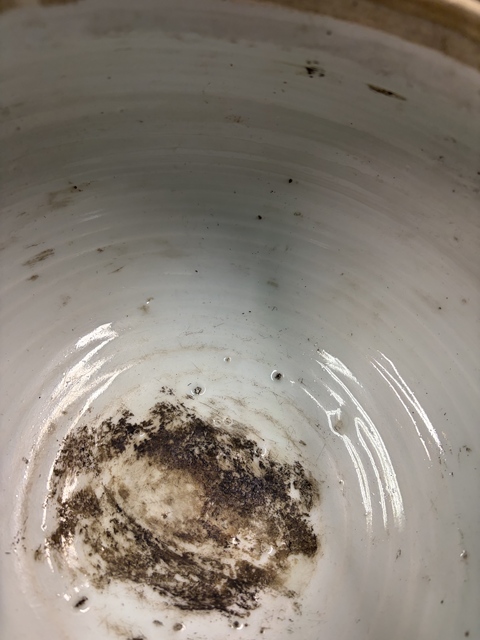 古玩陶瓷人物紋青花四系粥罐真品鑒賞圖