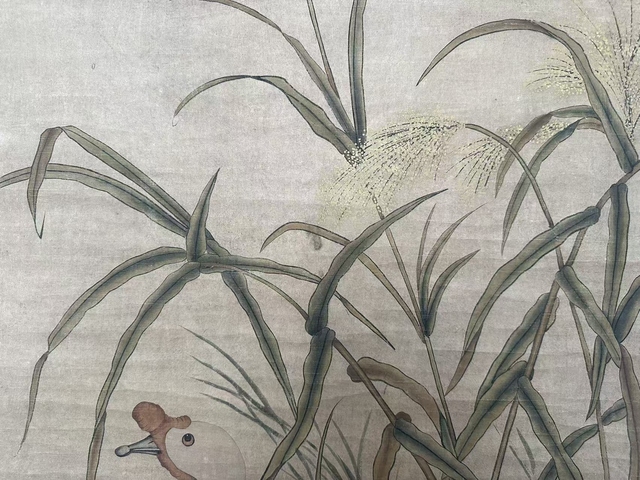 古玩字畫花鳥圖真品鑒賞圖