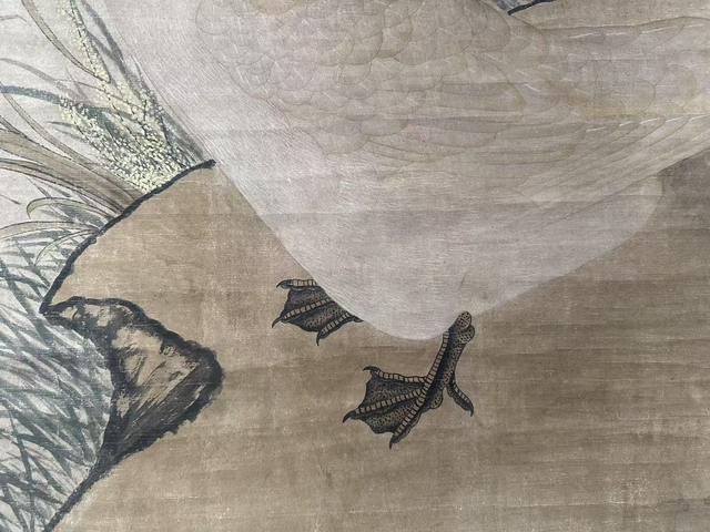 古玩字畫花鳥圖真品鑒賞圖