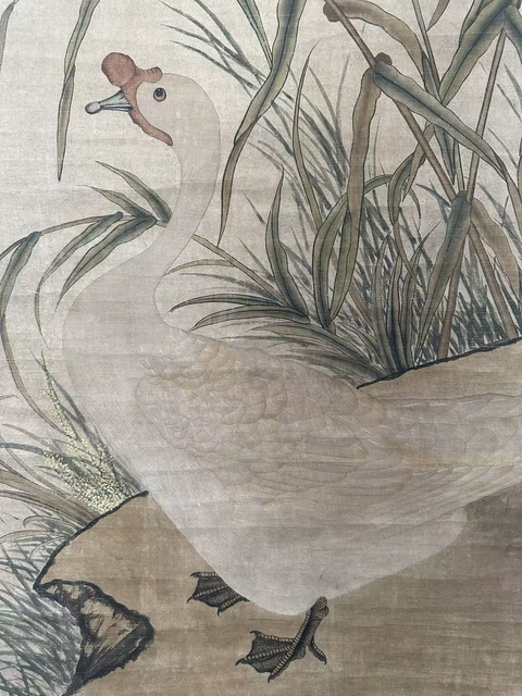 古玩字畫花鳥圖真品鑒賞圖