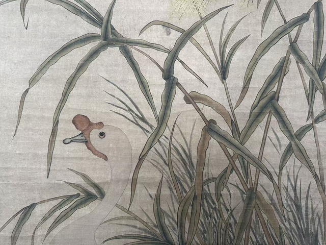 古玩字畫花鳥圖真品鑒賞圖