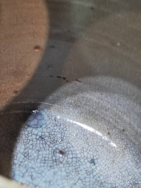 古玩陶瓷窯變紅釉冬瓜罐真品鑒賞圖