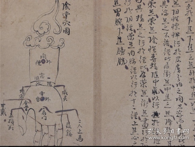 古玩字畫黃元御手稿真品鑒賞圖