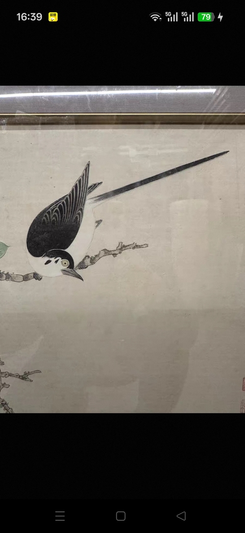 古玩字畫謝稚柳工筆花鳥真品鑒賞圖