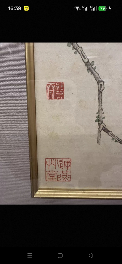 古玩字畫謝稚柳工筆花鳥真品鑒賞圖