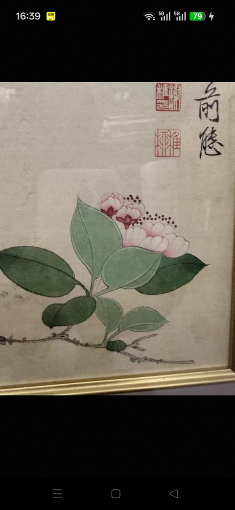 古玩字畫謝稚柳工筆花鳥真品鑒賞圖