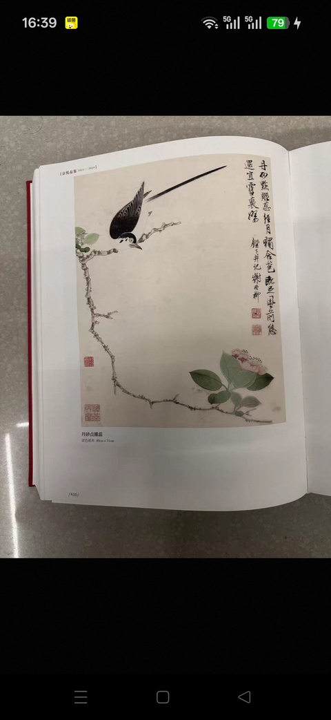 古玩字畫謝稚柳工筆花鳥真品鑒賞圖