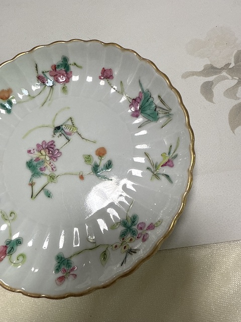 古玩陶瓷粉彩蟲草紋花口盤真品鑒賞圖