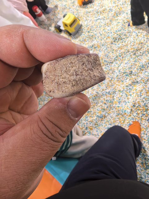 古玩雜項(xiàng)老虎骨真品鑒賞圖