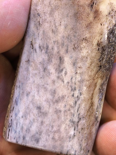 古玩雜項(xiàng)老虎骨真品鑒賞圖