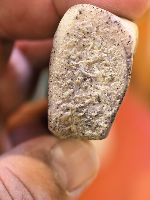 古玩雜項(xiàng)老虎骨真品鑒賞圖