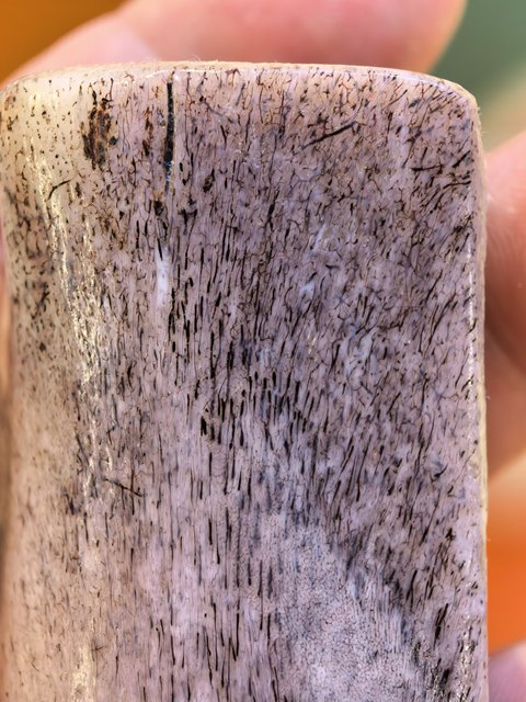 古玩雜項(xiàng)老虎骨真品鑒賞圖