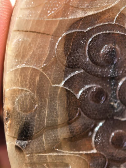 古玩雜項犀牛角《朝天角》真品鑒賞圖