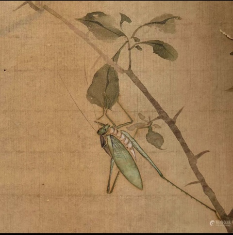 古玩字畫(huà)古泉款小寫(xiě)意菊石圖真品鑒賞圖