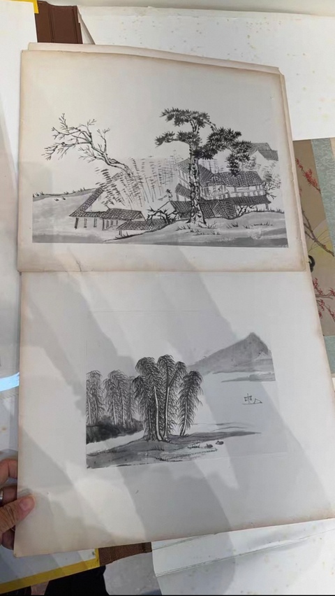 古玩字畫山水冊(cè)頁(yè)真品鑒賞圖