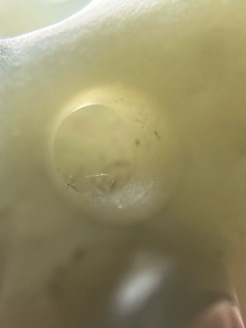 古玩玉器和田玉鳥真品鑒賞圖