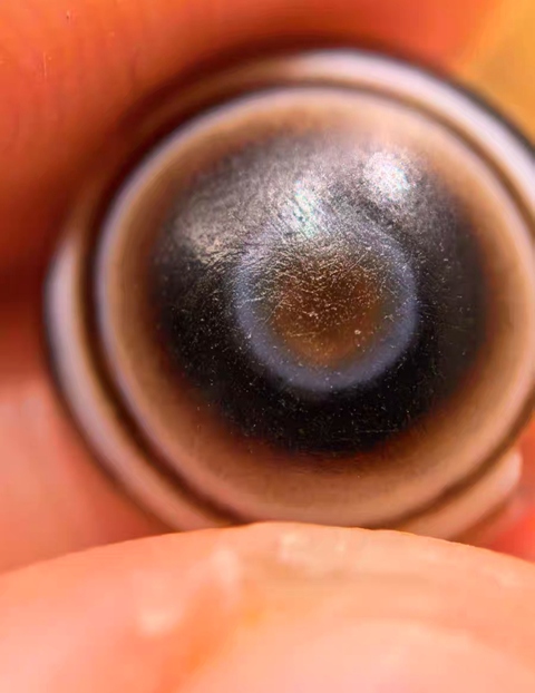 古玩玉器羊眼板珠真品鑒賞圖