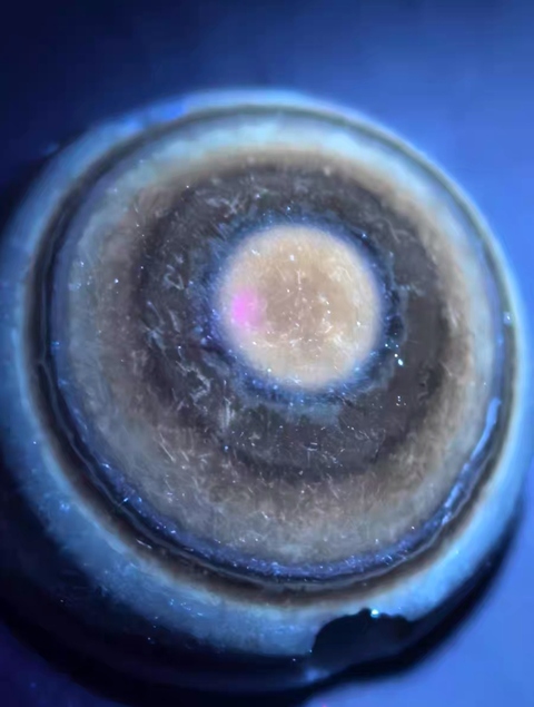 古玩玉器羊眼板珠真品鑒賞圖