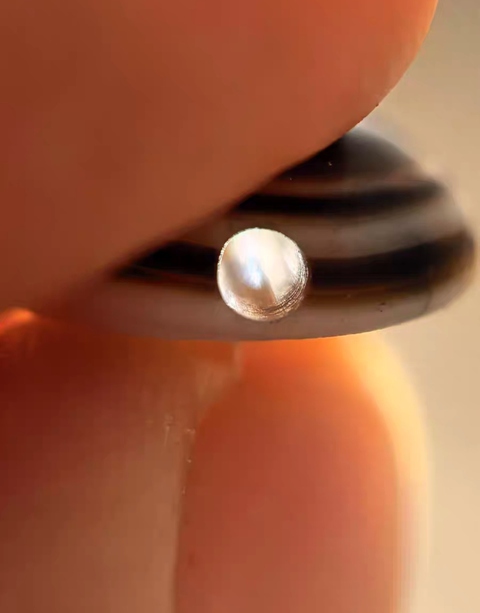 古玩玉器羊眼板珠真品鑒賞圖