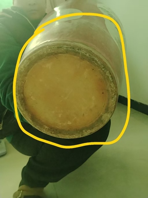 古玩陶瓷珊瑚紅釉開光粉彩花鳥紋大瓶真品鑒賞圖