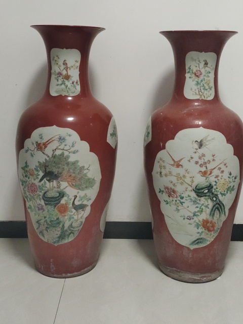 古玩陶瓷珊瑚紅釉開光粉彩花鳥紋大瓶真品鑒賞圖