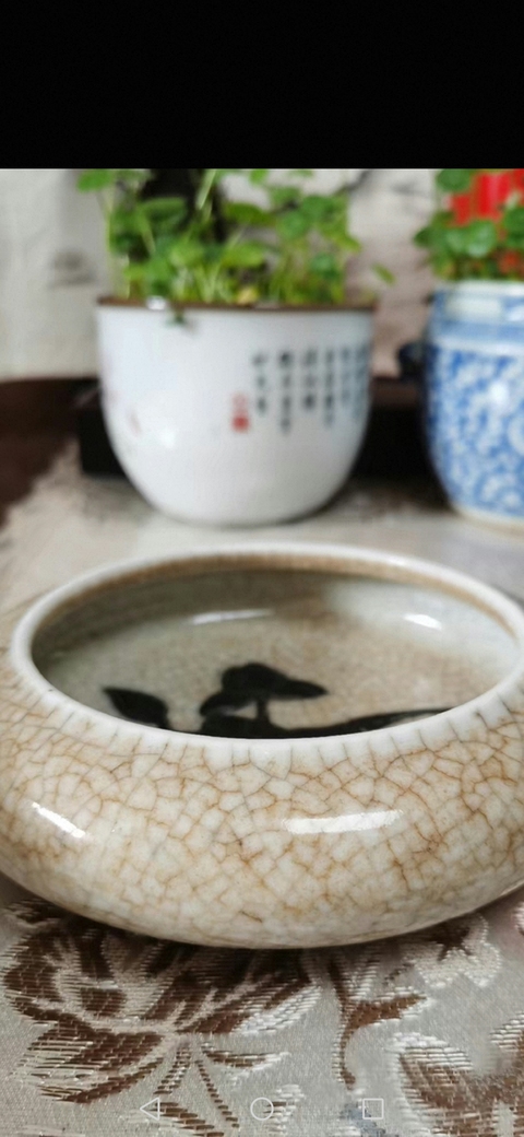 古玩陶瓷哥釉堆荷花紋洗真品鑒賞圖