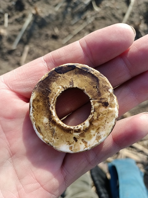 古玩陶瓷花卉紋飾品真品鑒賞圖