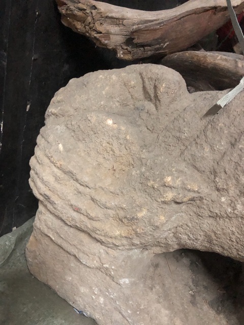 古玩雜項(xiàng)獅子真品鑒賞圖