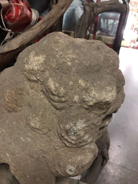 古玩雜項(xiàng)獅子真品鑒賞圖