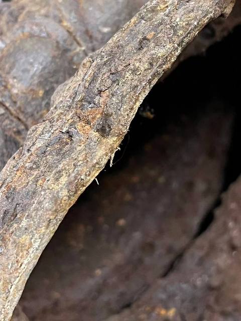 古玩銅器銅佛祖像真品鑒賞圖